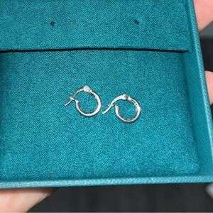 Sterling Silver Huggie Earrings